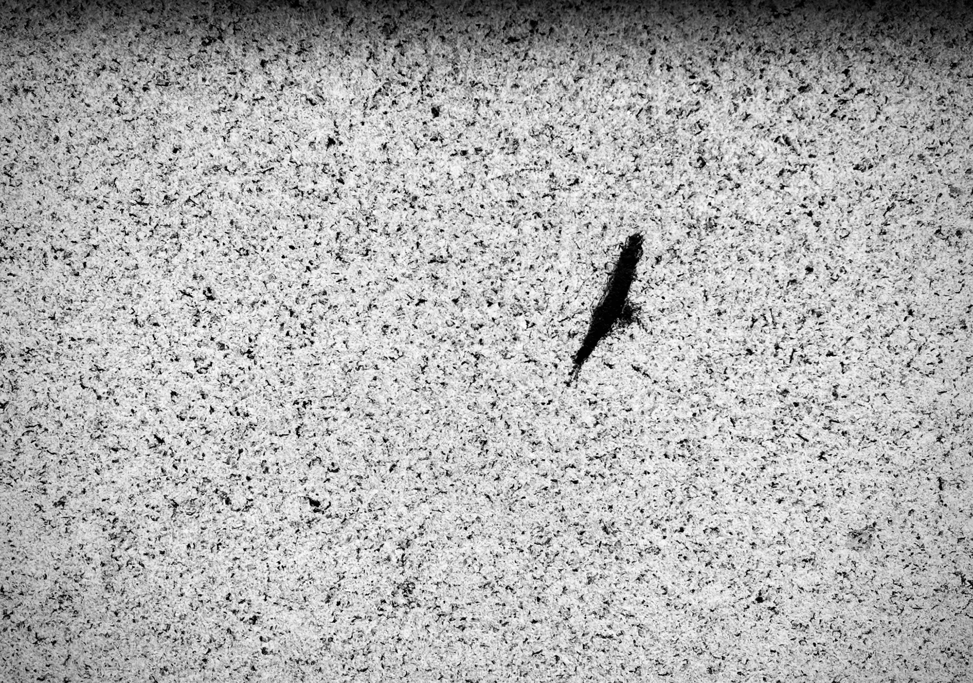 A small dark mark shaped like a bird in flight on a speckled wall